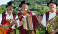 Wiesmather Spitzbuam